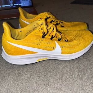 Nike zoom pegasus shoes